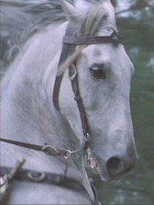 obr37